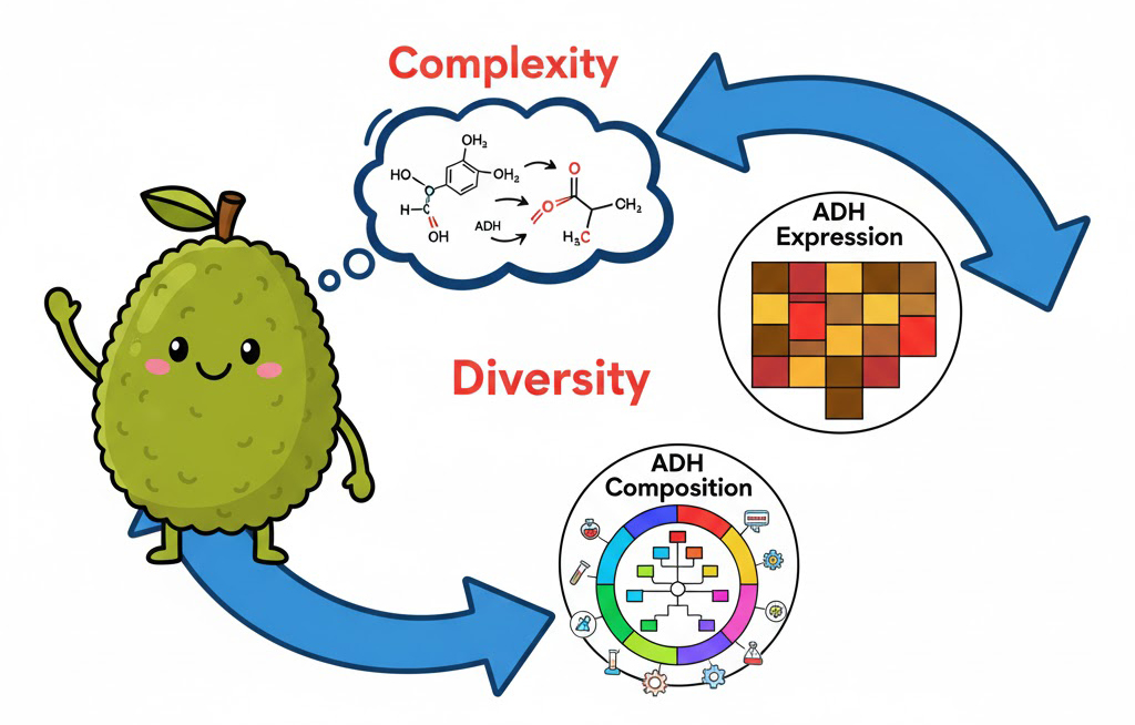 ADH Identification Banner